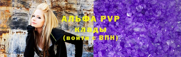 прущие крисы Болотное