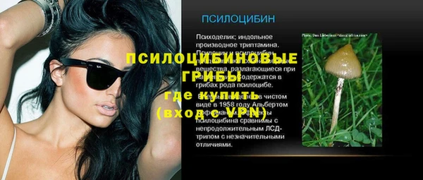 альфа пвп Новокубанск