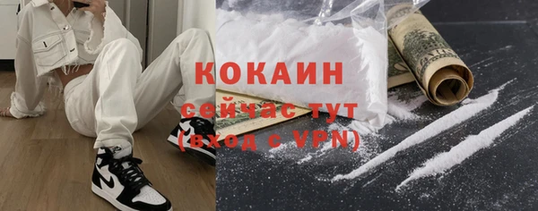 молекула духа Няндома