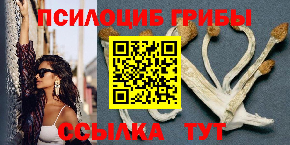 Балашов  Псилоцибиновые грибы MAGIC MUSHROOMS  купить наркотики цена  Вход с VPN 