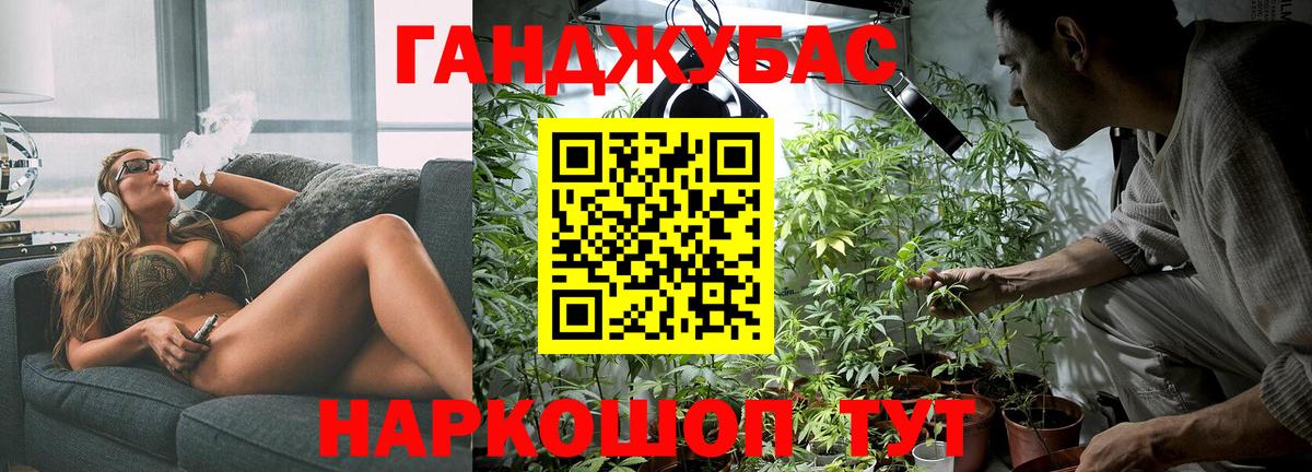 Конопля гибрид Балашов